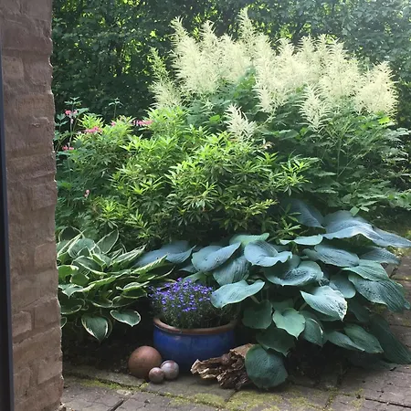 Apartment Landlust, Stadtnah Im Ehemaligem Mit Sauna, Kaminofen Und Grossem Garten *